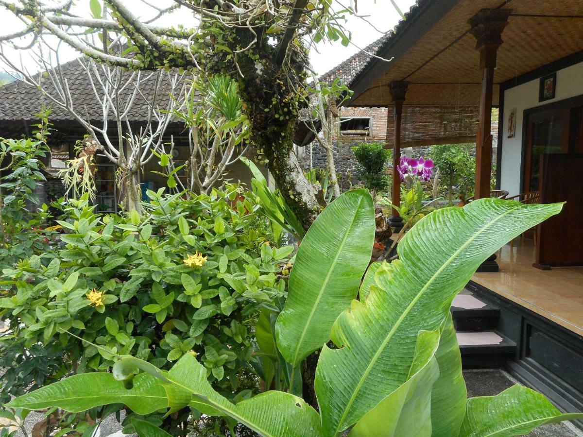 Milla Homestay Sidemen  Εξωτερικό φωτογραφία